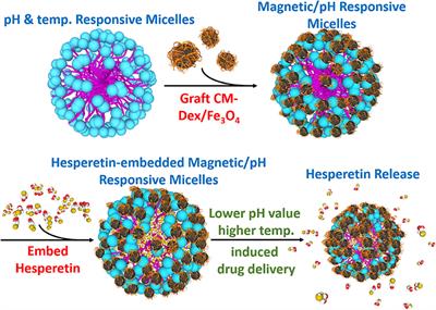 Multi-Functional Drug Carrier Micelles With Anti-inflammatory Drug